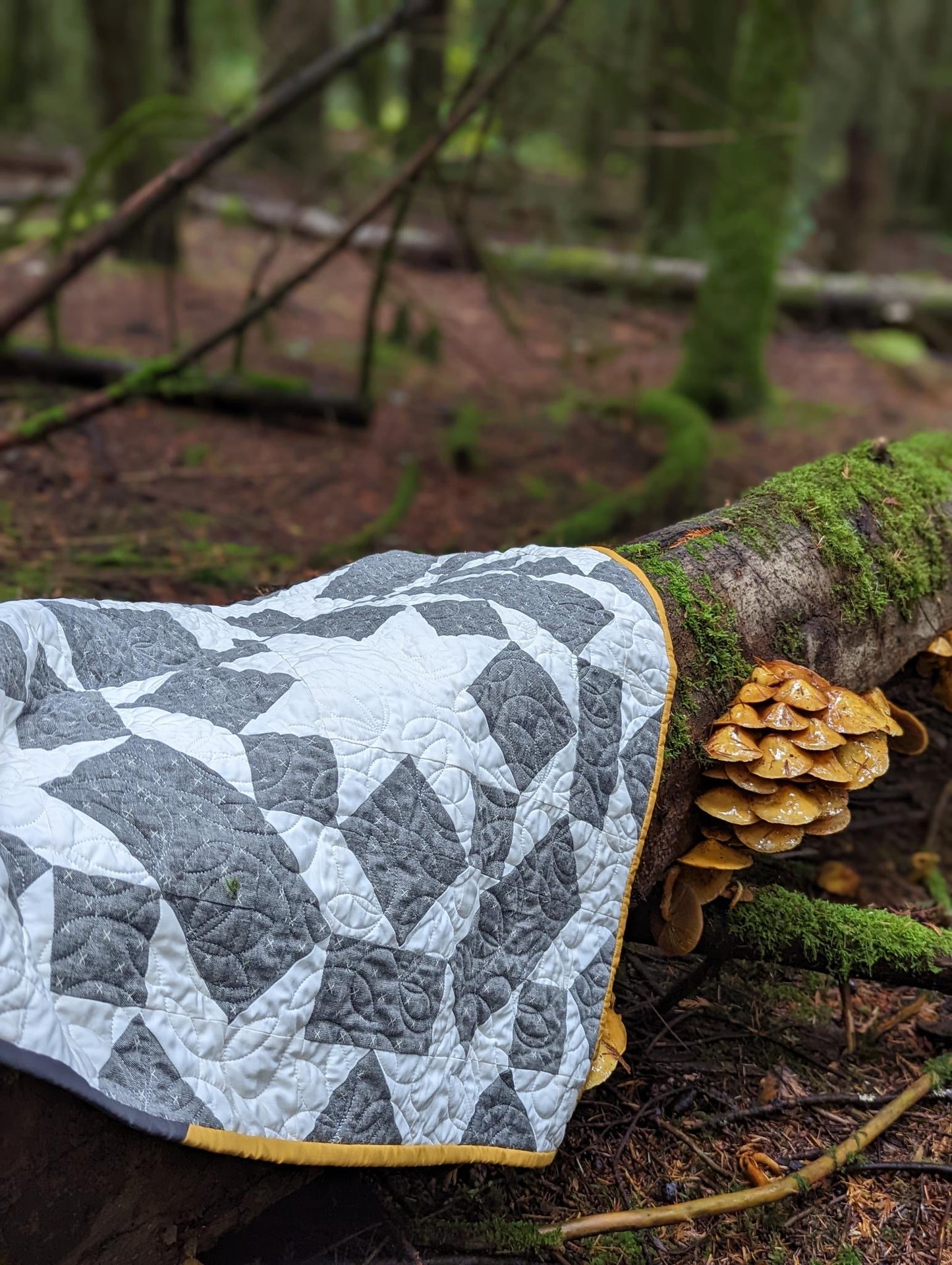 Aperiodic Quilt Pattern - PDF